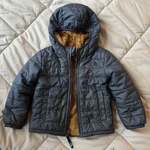 The North Face Winter Jacket / Puffer in Blue